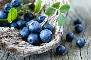 blueberries_for_diabetes.jpg